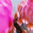 image05