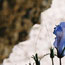 image06