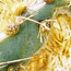 image09