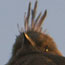 image01