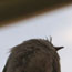image02