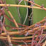 image23
