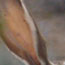 image37
