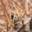 image04