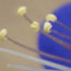 image09
