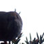 image02