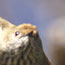 image03