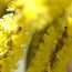 image06