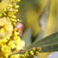 image07