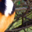 image09