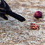 image15