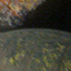 image33