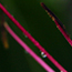 image53