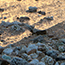 image08