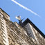 image02