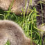 image07