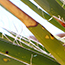 image15