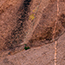 image18