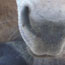 image21