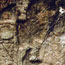 image28