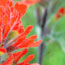 image07