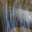 image04