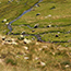 image14