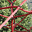 image02
