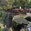 image21