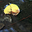 image23