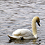 image21