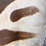 image21