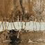 image03