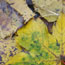 image12