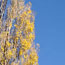 image03