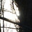 image04