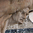 image10