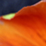 image12