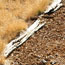 image10