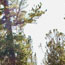 image12
