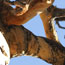 image02