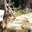image21