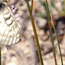 image23
