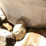 image25
