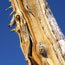 image05