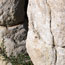 image06
