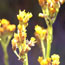 image07