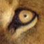 image02