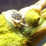 image07