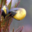 image12